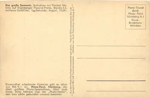 Vogel - Das grosse Sammeln -662126