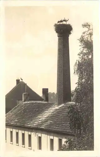 Lazne Bohdanec -662136