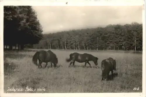 Jablkynice - Sartia u obora - Böhmen -662252