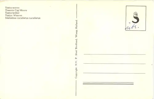 Vogel - Textorwever -662236