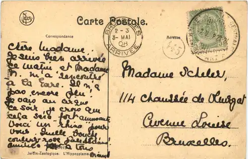 Anvers - Jardin Zoologique - Hippo -662404