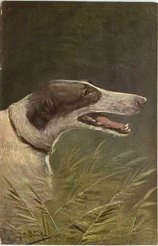 Dog - Hund -662484