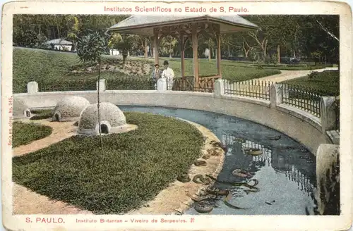 Sao Paulo - Instituto Butantan - Snake -662394