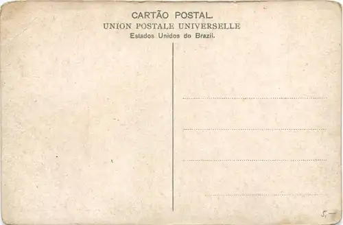 Sao Paulo - Instituto Butantan - Snake -662394