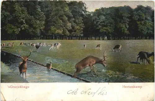 s. Gravenhage - Hertenkamp -662378