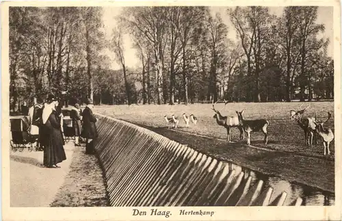 Den Haag - Hertenkamp -662398