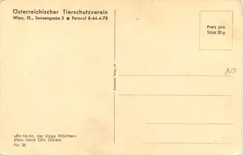 Schäferhund -662540