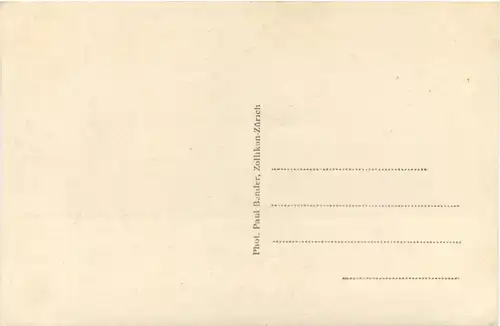 Zürich - Zoologischer Garten - Elephant -662388