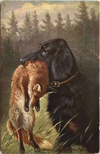 Hund mit Fuchs im Maul -662600