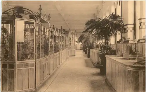 Anvers - Jardin Zoologique - Terraria -662408