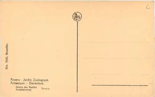 Anvers - Jardin Zoologique - Terraria -662408