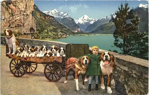 Flüelen - Hundekutsche -662518