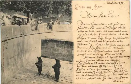 Gruss aus Bern - Bären -662316