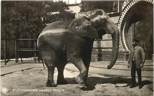 Berlin - Zoologischer Garten - Elefant -662412