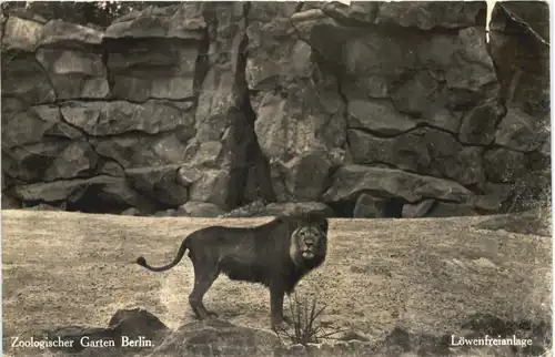 Berlin - Zoologischer Garten - Löwenfreianlage -662586