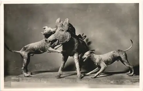 Napoli - Museo Nazionale -662754