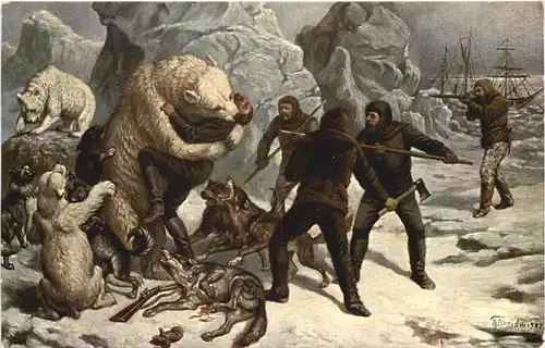 Nordpol Expedition - Eisbär -662742