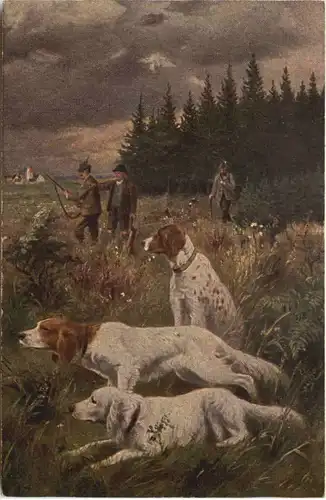 Jagd - Hunting -662790