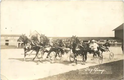 Daglfing - Reitsport - München -662884