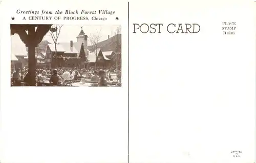 Ice skating - Chicago -662936