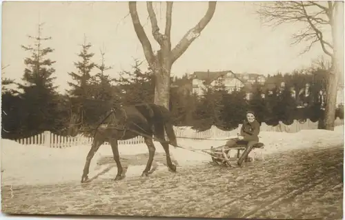 Oberhof - Pferd mit Schlitten -663096