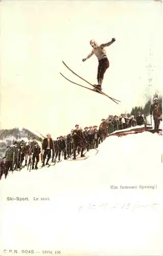 Ski Sport - Ein famoser Sprung -663170