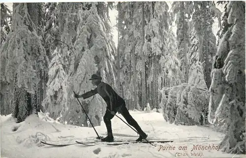 Partie am Mönchhof Thüringer Wald - Ski -663210