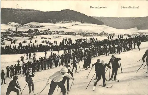 Baiersbronn - Schneeschuhlauf -663162