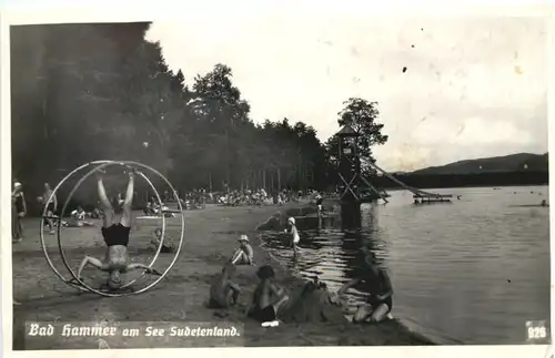 Bad Hammer am See - Sudetenland - Rhönrad -663320