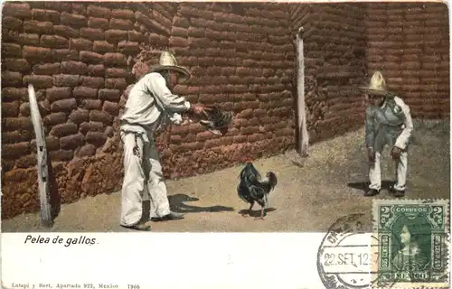Mexico - Pelea de gallos - Hahnenkampf -663358