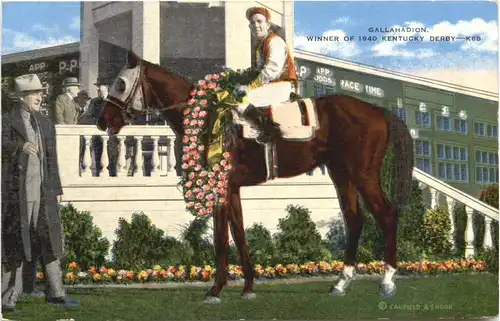Gallahadion - Winner of 1940 Kentucky Derby -663544