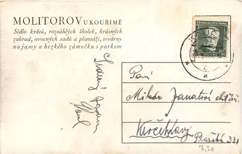 Molitorov u Kourime - Kultury Konifer -663642