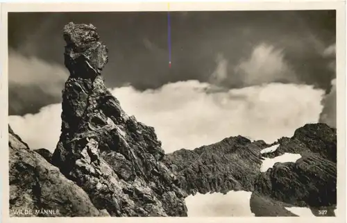 Heilbronnerweg - Wildes Männle -663824