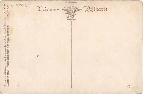 Sonnenwendfeuer -664222