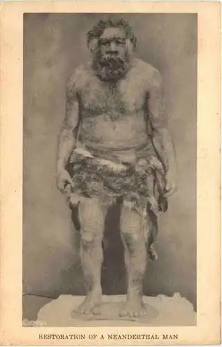 Chicago - Field Museum - Neanderthal Man -664774