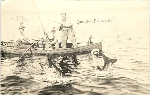 Quite some Fishing here -664798