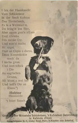 Kufstein - Gruss aus der Weinstube Schicketanz - Hund -664870