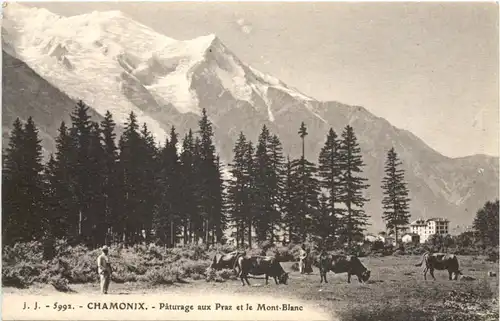 Chamonix, Paturrage aux Prax et le Mont-Blanc -540484