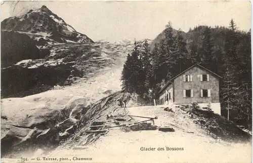 Chamonix, Glacier des Bossons -540350