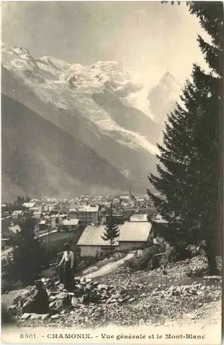Chamonix, Vue generale et le Mont-Blanc -540488