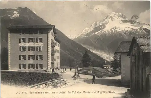 Trelechamp - Hotel du Col des Montets et Aiguille Verte -540946