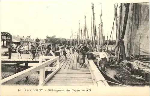 Le Crotoy, Dechargement des Coques -540742