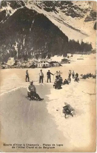 Chamonix, Pistes de luges de l`Hotel Claret et de Belgique -541422