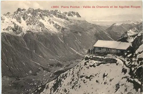 Vallee de Chamonix et les Aiguilles Rouges -541434