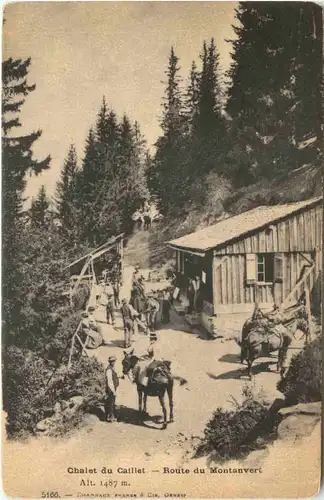 Chamonix, Chalet du Caillet, Route du Montanvert -541680
