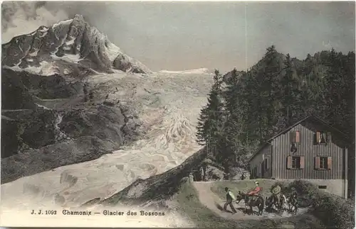 Chamonix, Glacier des Bossons -541496
