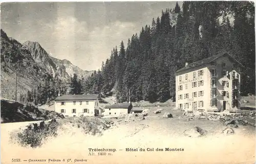 Trelechamp, Hotel du Col des Montets -539838