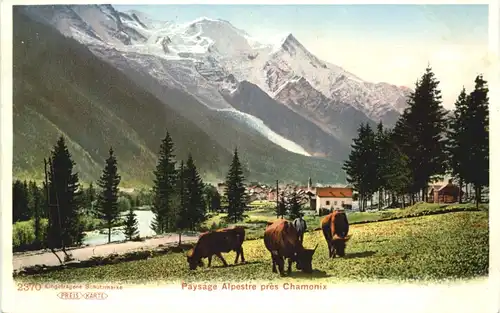 Chamonix, Paysage Alpestre pres Chamonix -541510