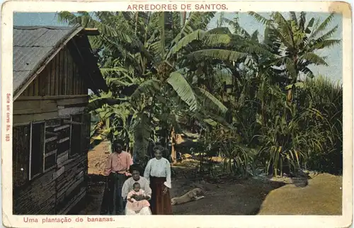 Brazil - Arredores de Santos -665644