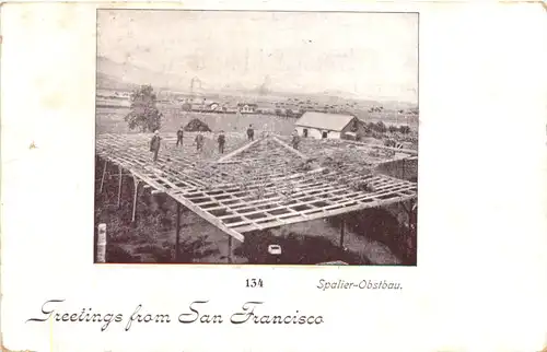 Greetings from San Francisco - Spalier Obstbau -665630
